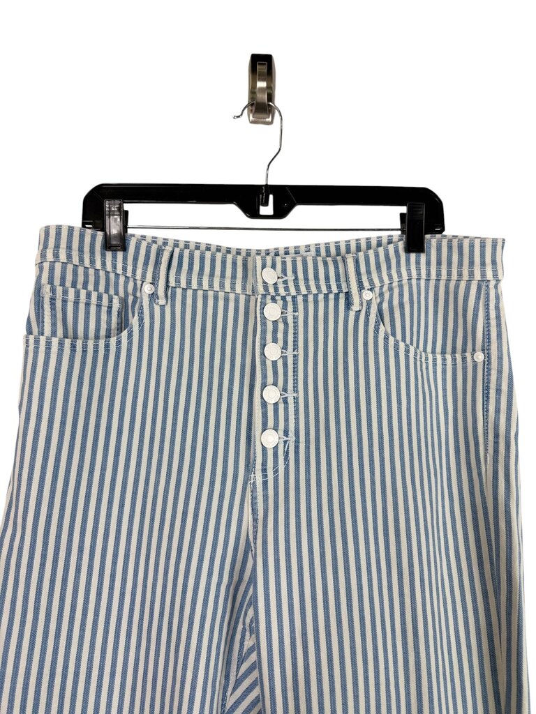 LOFT STRIPED BUTTON FLY PANTS