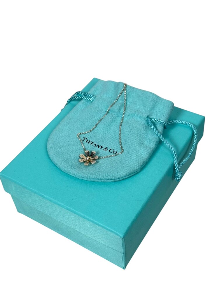 TIFFANY & CO LOVEBUG COLLECTION NECKLACE