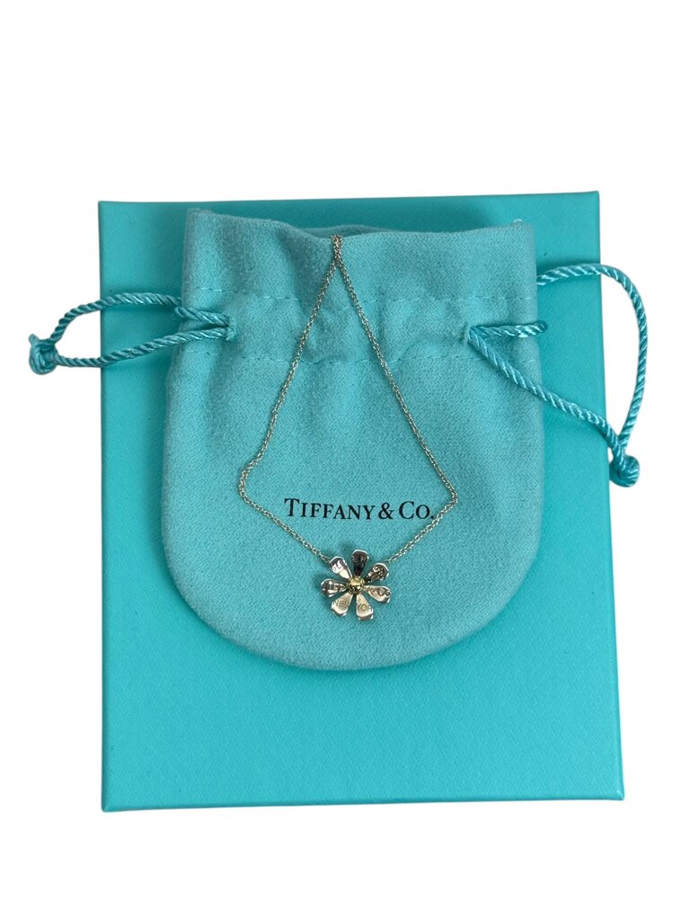 TIFFANY & CO LOVEBUG COLLECTION NECKLACE