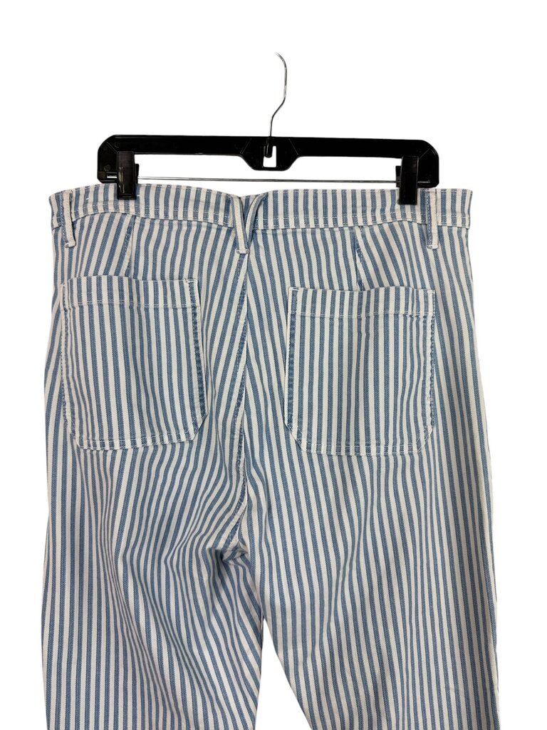 LOFT STRIPED BUTTON FLY PANTS