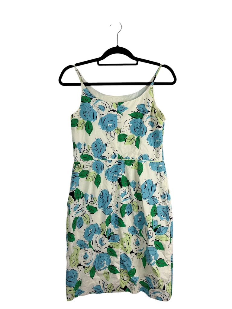 ANN TAYLOR FACTORY ROSE PRINT DRESS